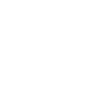 Reclamebureau Brugge - Mioo Design - Klant Logo Aniwayz - West-Vlaanderen